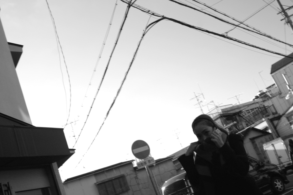 Muffler