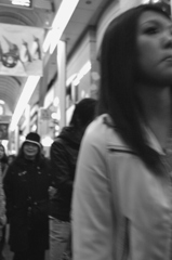 綺麗に撮ってあげられなくってゴメン