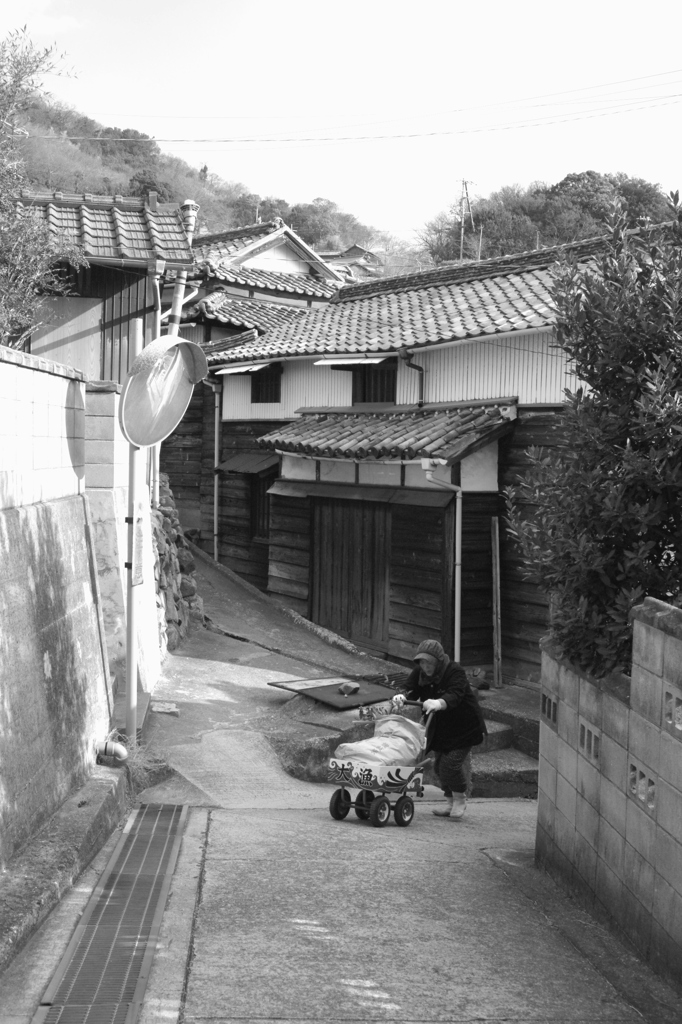 島の日常