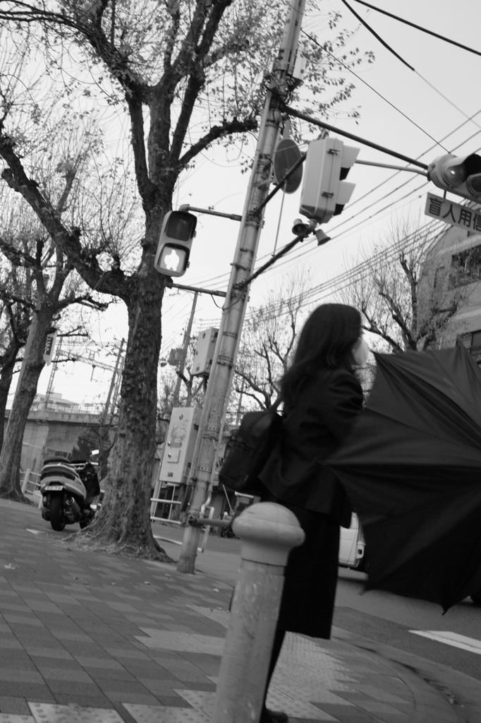 umbrella