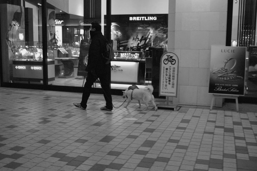 この犬はCOBA★様が撮ってた犬かしら？