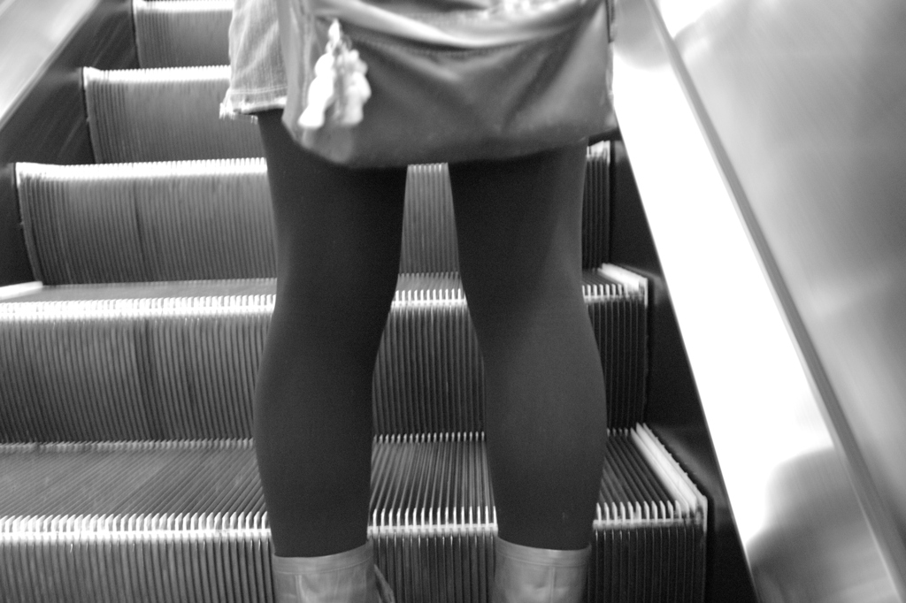 Leg