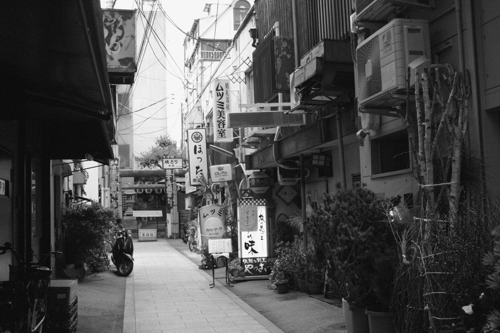 香川の路地