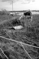 草に囲まれる船