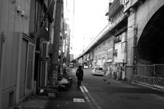 舞い降りる瞬間