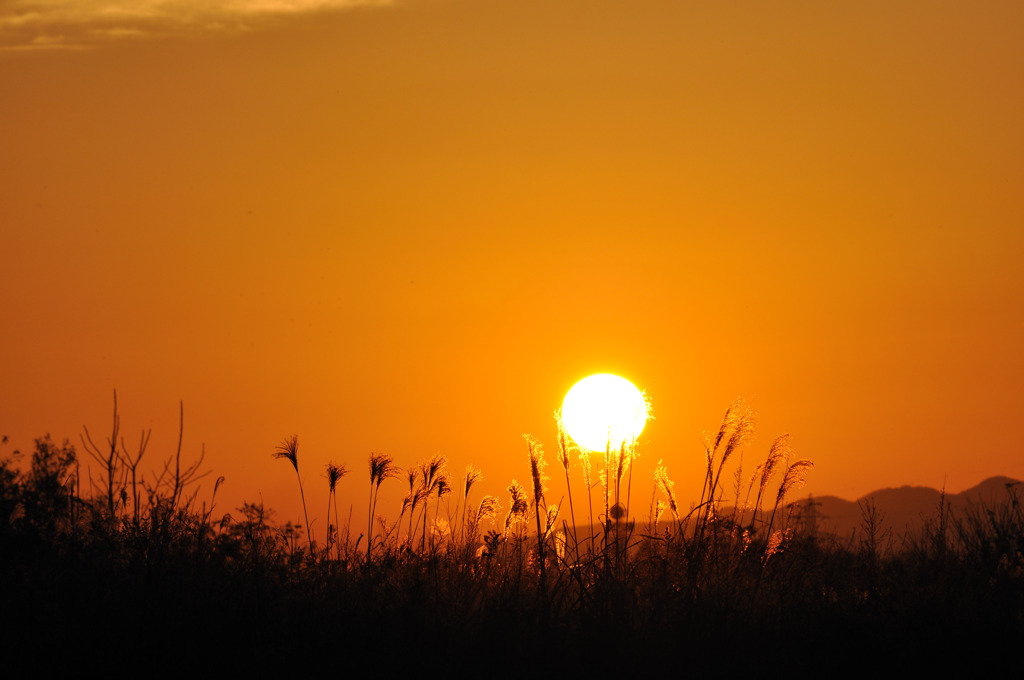 夕日