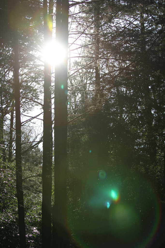 Lens flare