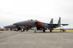 F-15E Strike Eagle