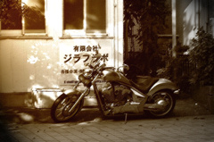 MAGNA