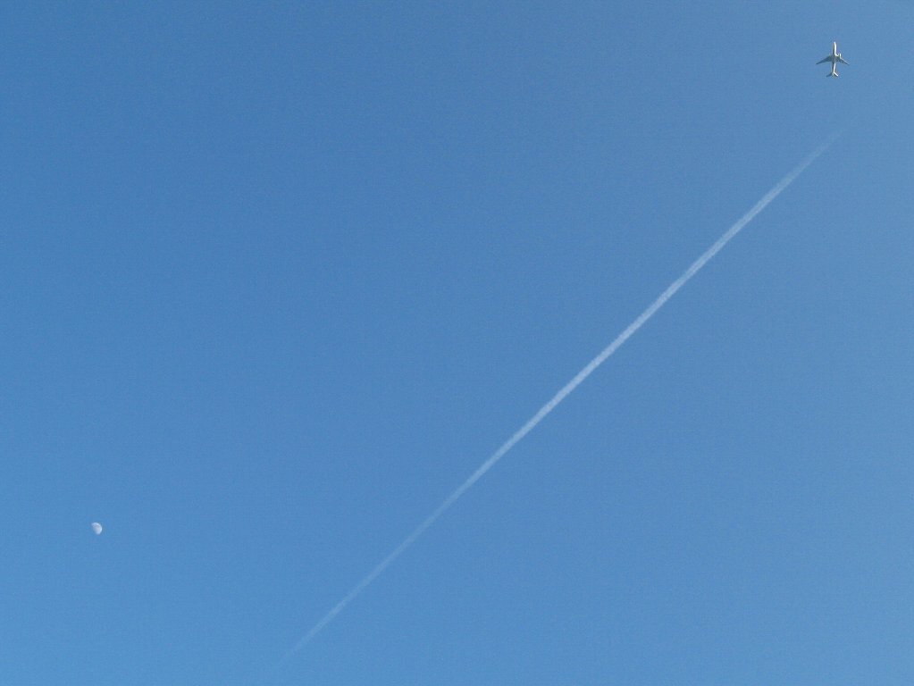大空のキャンパス