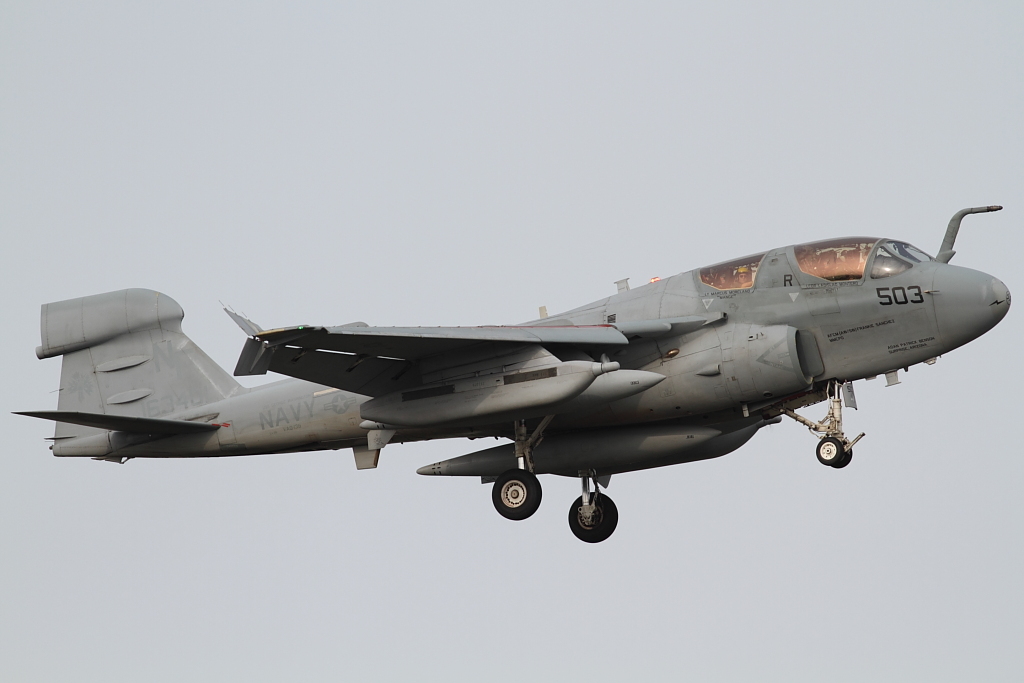 EA-6B Prowler (VAQ-136 Gauntlets NF-503)