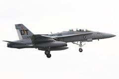 F/A-18D BATS CAG
