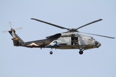 SH-60B Sea Hawk (HS-14 Chargers NF-610)