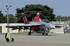 D-Back NF100
