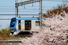 桜から発進！
