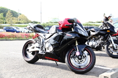CBR600RR