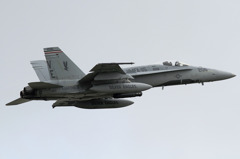 VE206