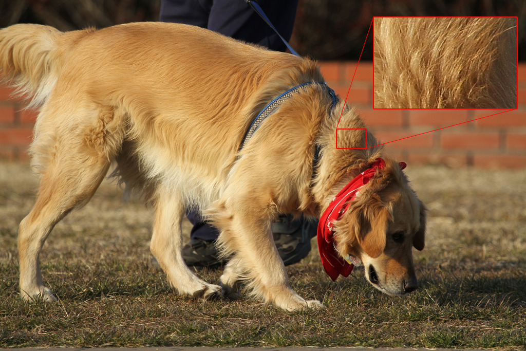 EF100-400 試し撮り