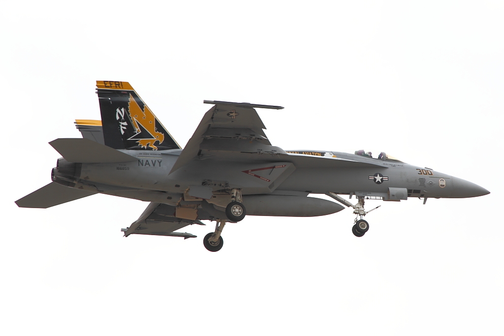 85mmで撮ったNF300