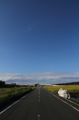 真っ直ぐな道