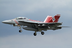 NF100