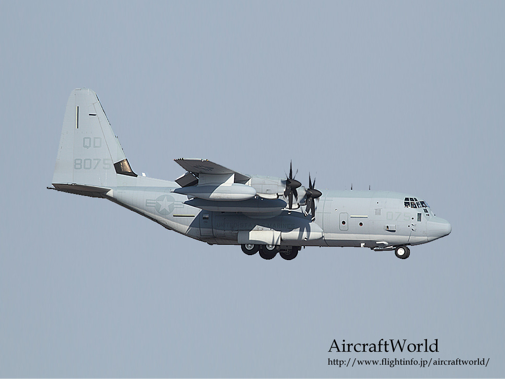 C-130 外来機