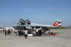Last Squadron