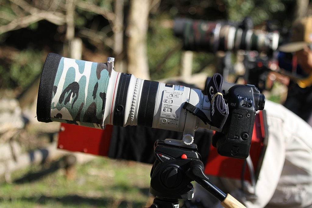 カワセミ専用マシン