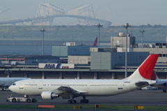 東京ゲートブリッジと一緒に