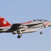 F-18F VFA-102 "Diamondbacks" NF100