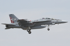 F/A-18F Super Hornet (VFA-102 Diamondbac