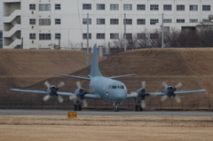 P-3C 100周年記念