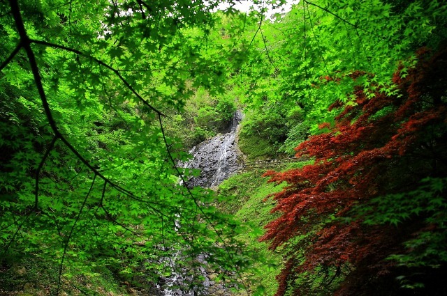 okunitaki