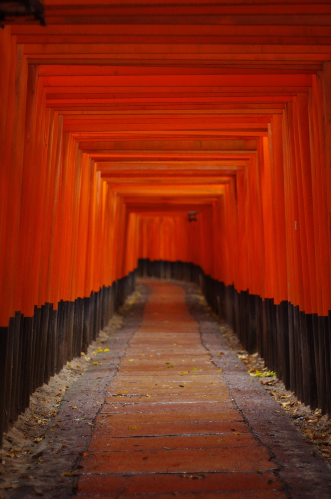 FA50で歩く京都③