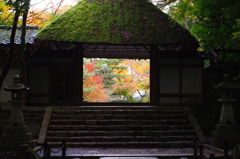 FA50で歩く京都④