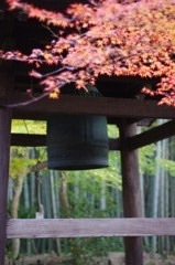 FA50で歩く京都①