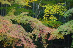 FA50で歩く京都②