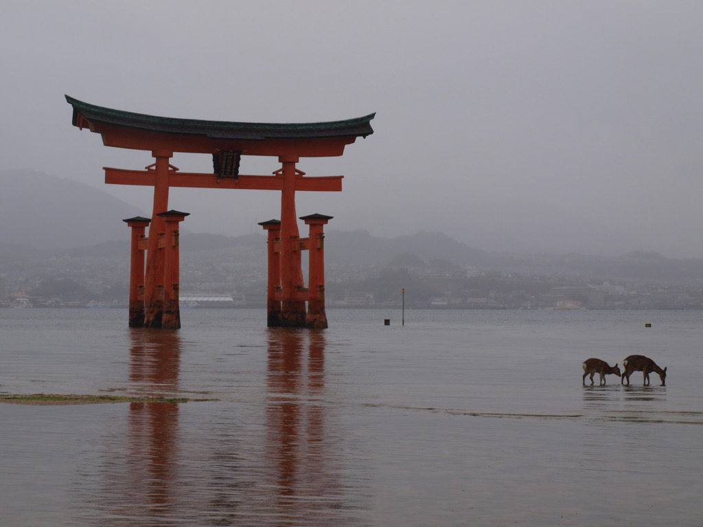 親子