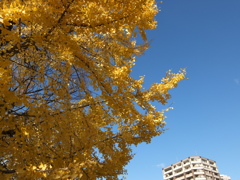 広島の空