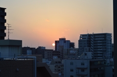 夕日