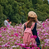 花の中で