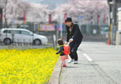 お花畑へのダイブはあぶないよ！