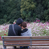 Banpaku Lovers