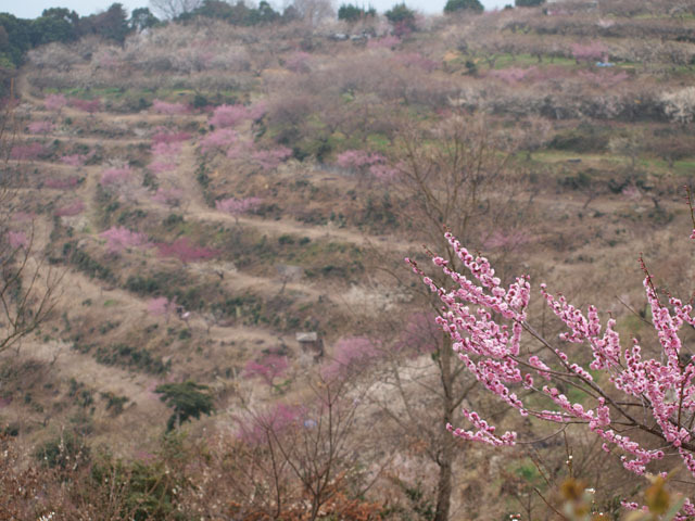 里山