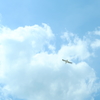 風にあおられていても