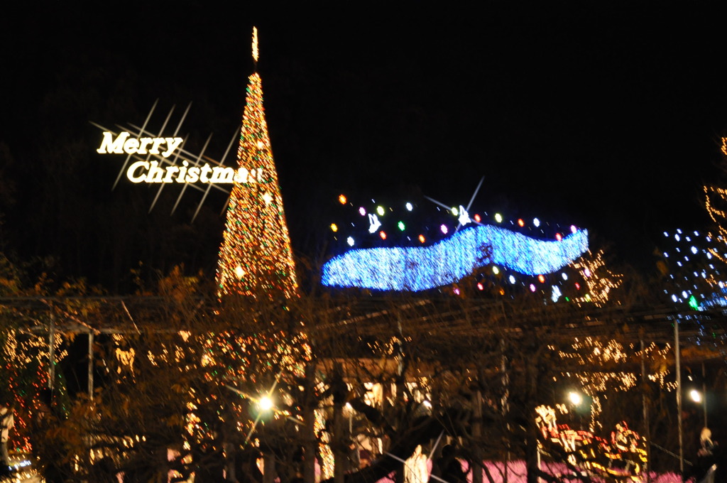 Merry Christmas