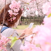 春を撮りたくて