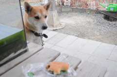 おあずけ