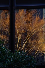 Wall 03