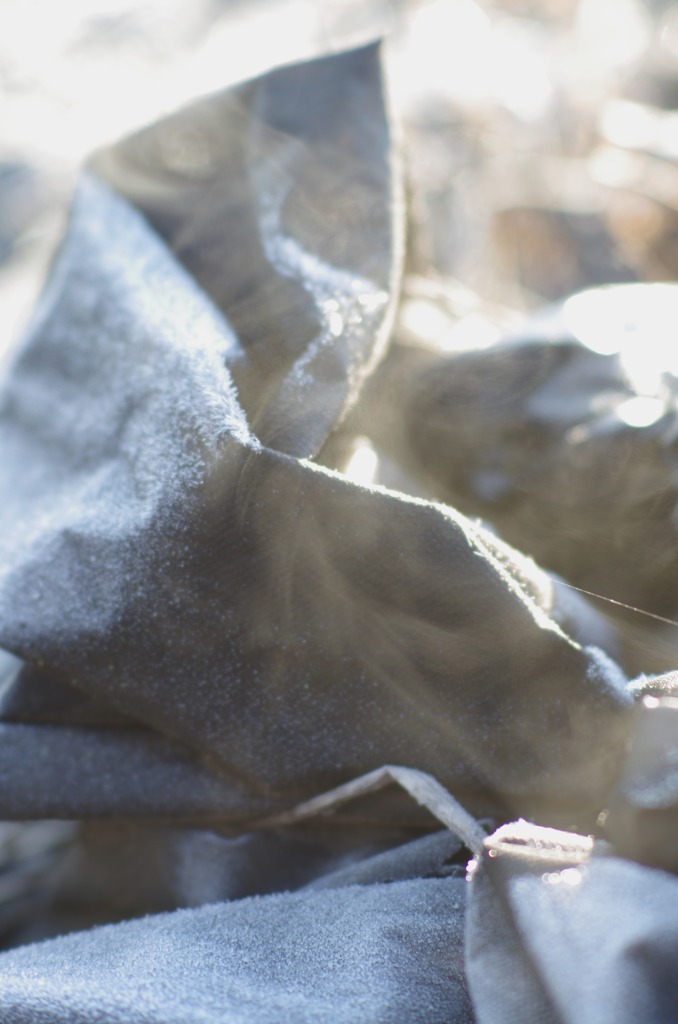 今朝は少し暖かでした